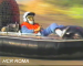 link scheda 3