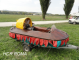 link scheda 6
